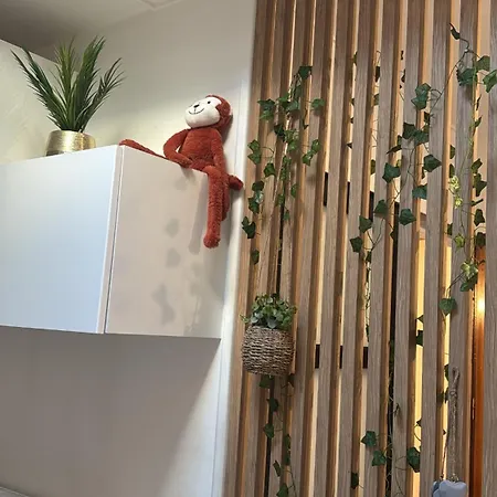 Jungle דירה *